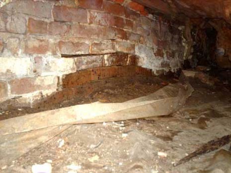 Moldy Crawl Space