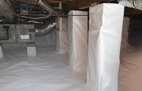 Get a Free Crawl Space Encapsulation Estimate