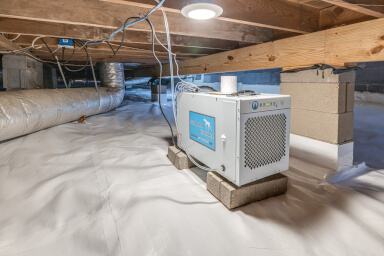 Crawl Space Dehumidifier Service